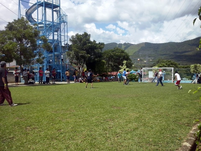 Futbol en césped natural